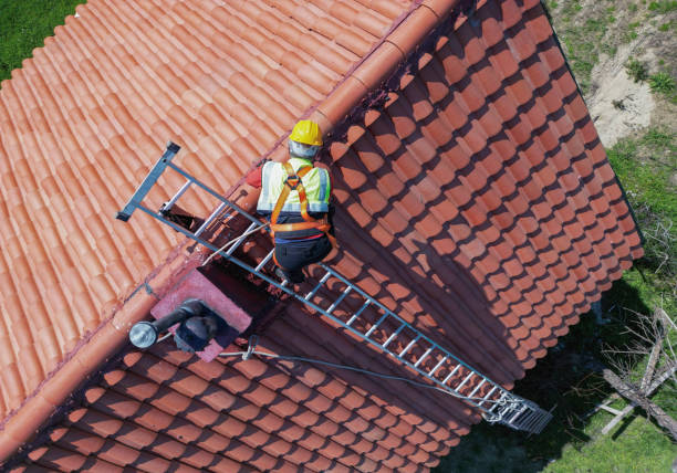 Best Wood Shake Roofing  in Paulden, AZ